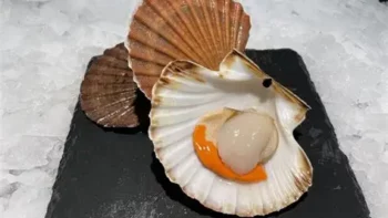 Permalien vers:Vente de coquilles Saint Jacques